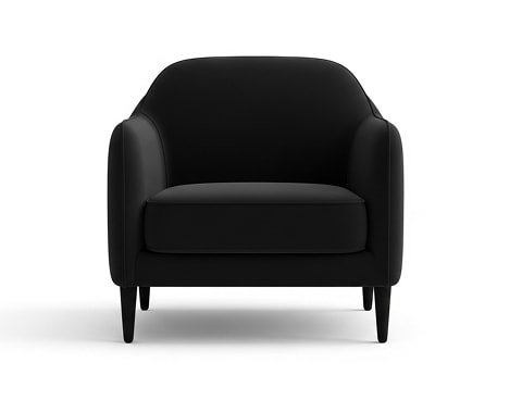 Leather Armchair